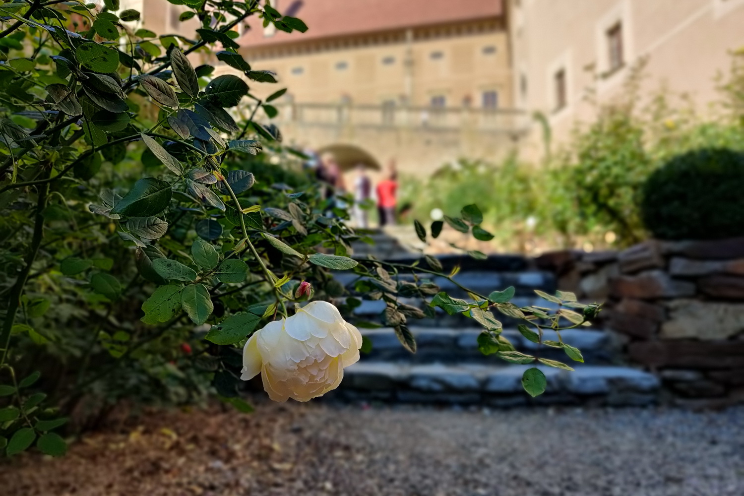 Mastaplan Firmenausflug - Rosenburg Mastaplan Firmenausflug - Rosenburg