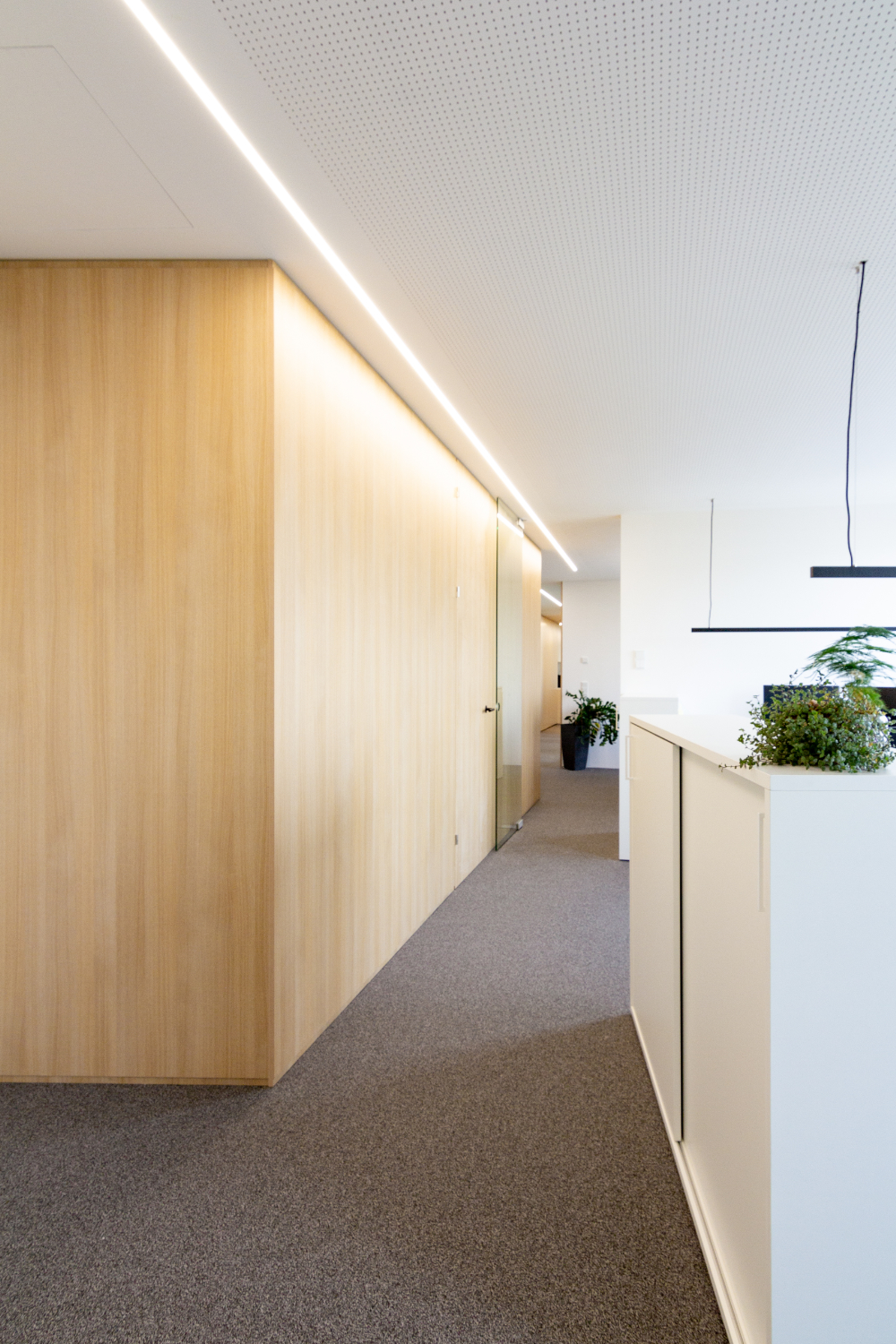 Next Steuerberatung - Mastaplan GmbH Wels Next Steuerberatung - Mastaplan GmbH Wels