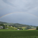 Firmenausflug 2026 - Mastaplan Wels und Rohrbach