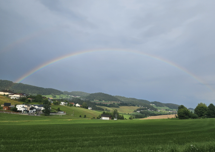 Firmenausflug 2026 - Mastaplan Wels und Rohrbach
